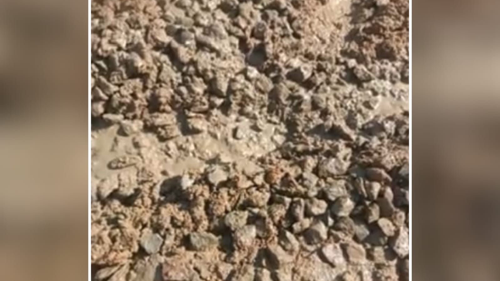 घटिया निर्माण से भ्रष्टाचार की खुली परतें: पक्की सड़क के नाम पर घोटाला, जिम्मेदारों पर उठे सवाल ?